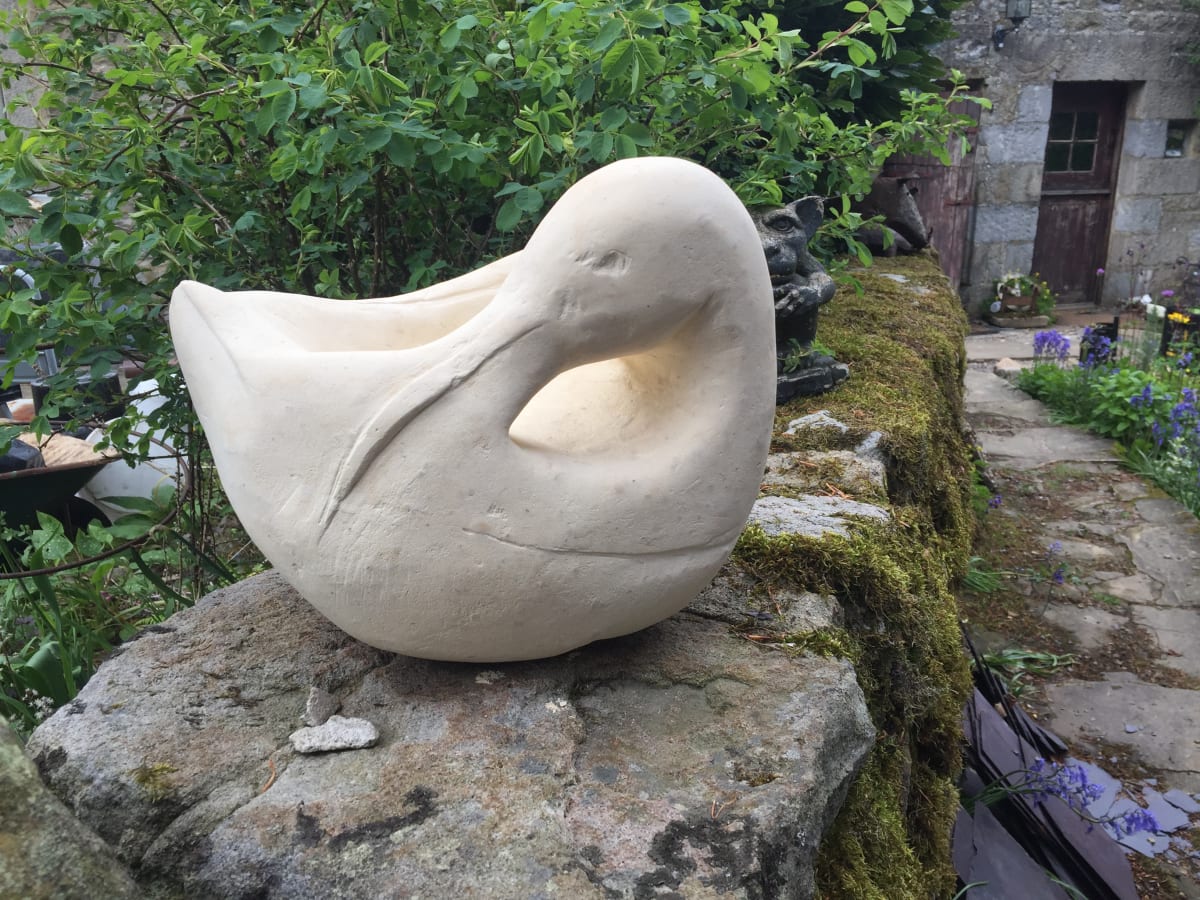 Stone Curlew by Karen Blacklock 