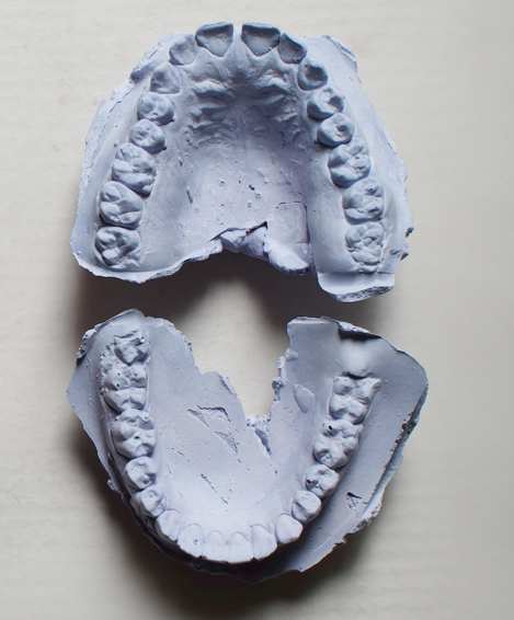 Archivo dental by Maria Méndez 