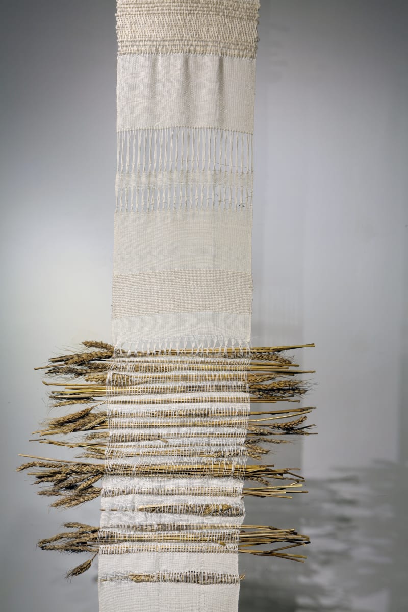 Trigo by Ana Milena Gómez 