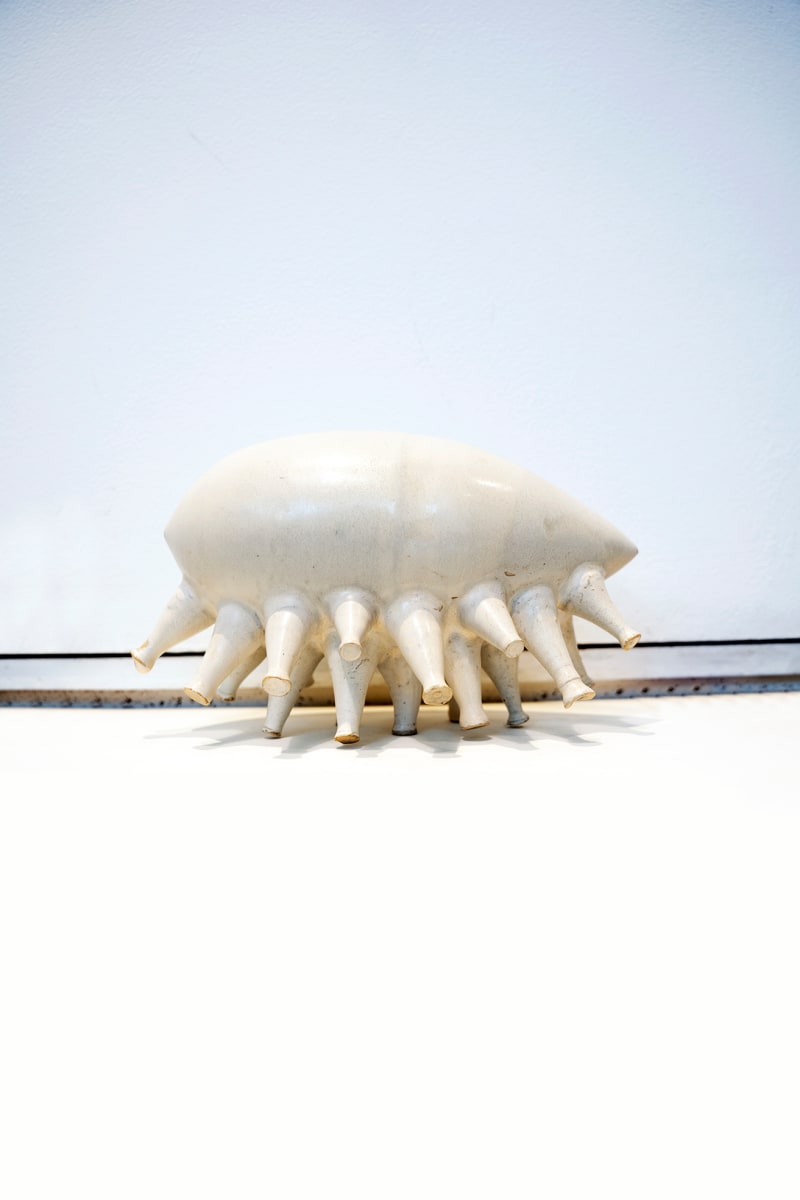 Moluscos bailarines by Felipe González 