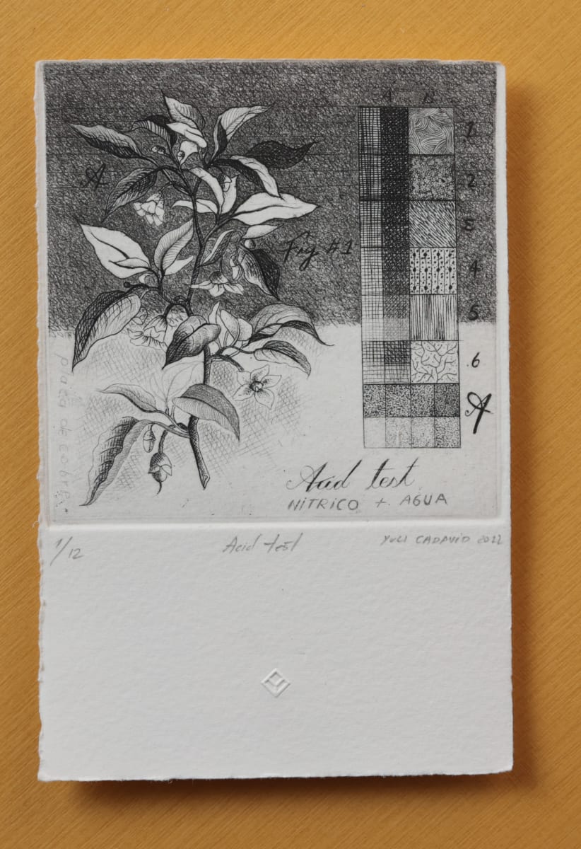 Acid Test by Yuli Cadavid 