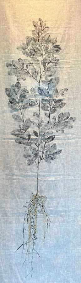 Divina planta by Tatiana Arocha 