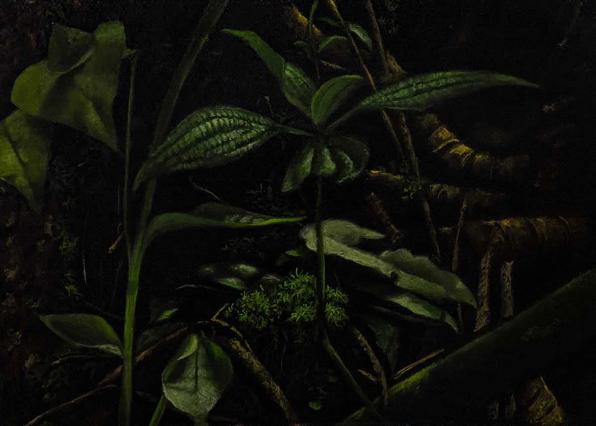 De la Serie Matorral, Matorral XII by Yuliana Miranda 