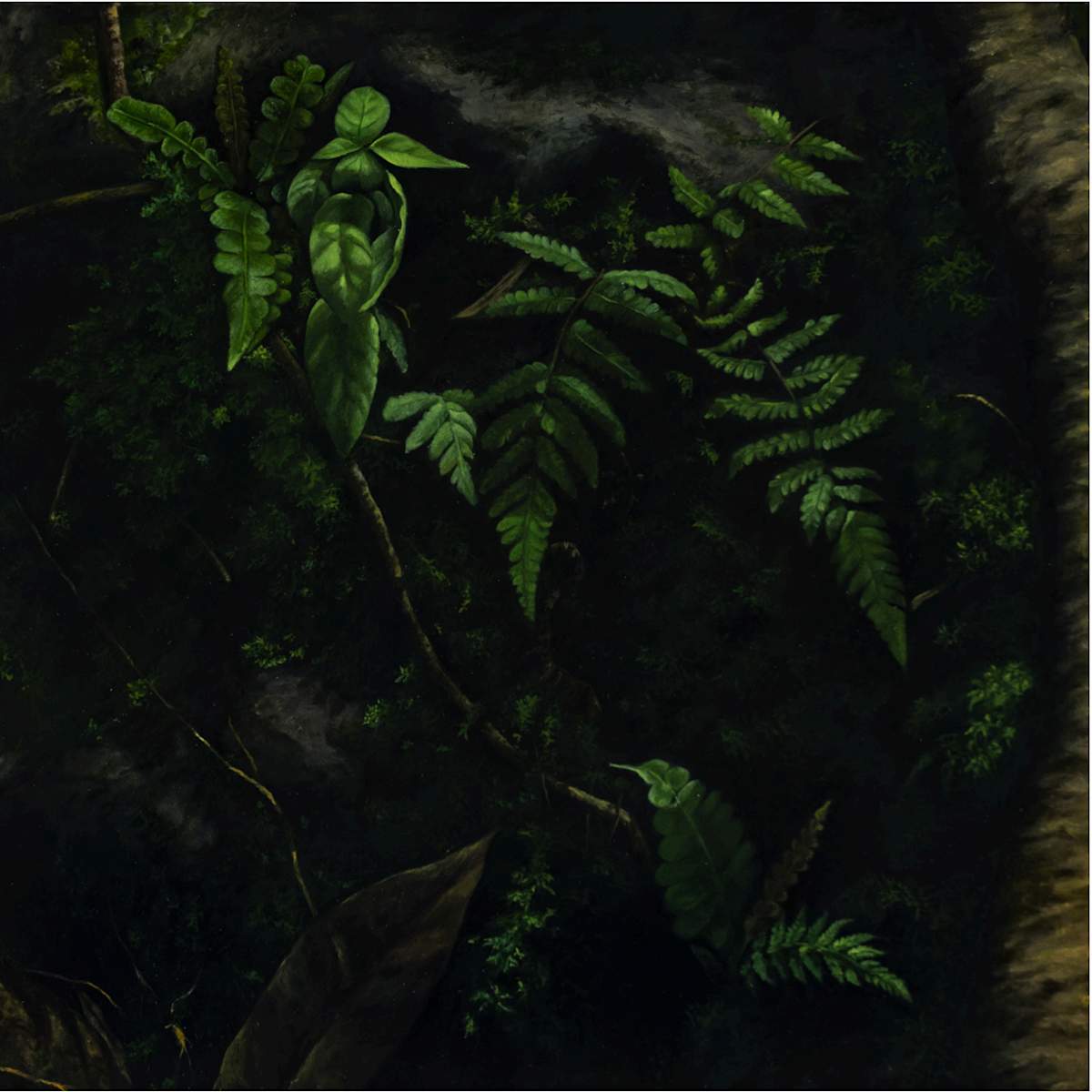 De la serie Matorral, Matorral VII by Yuliana Miranda 