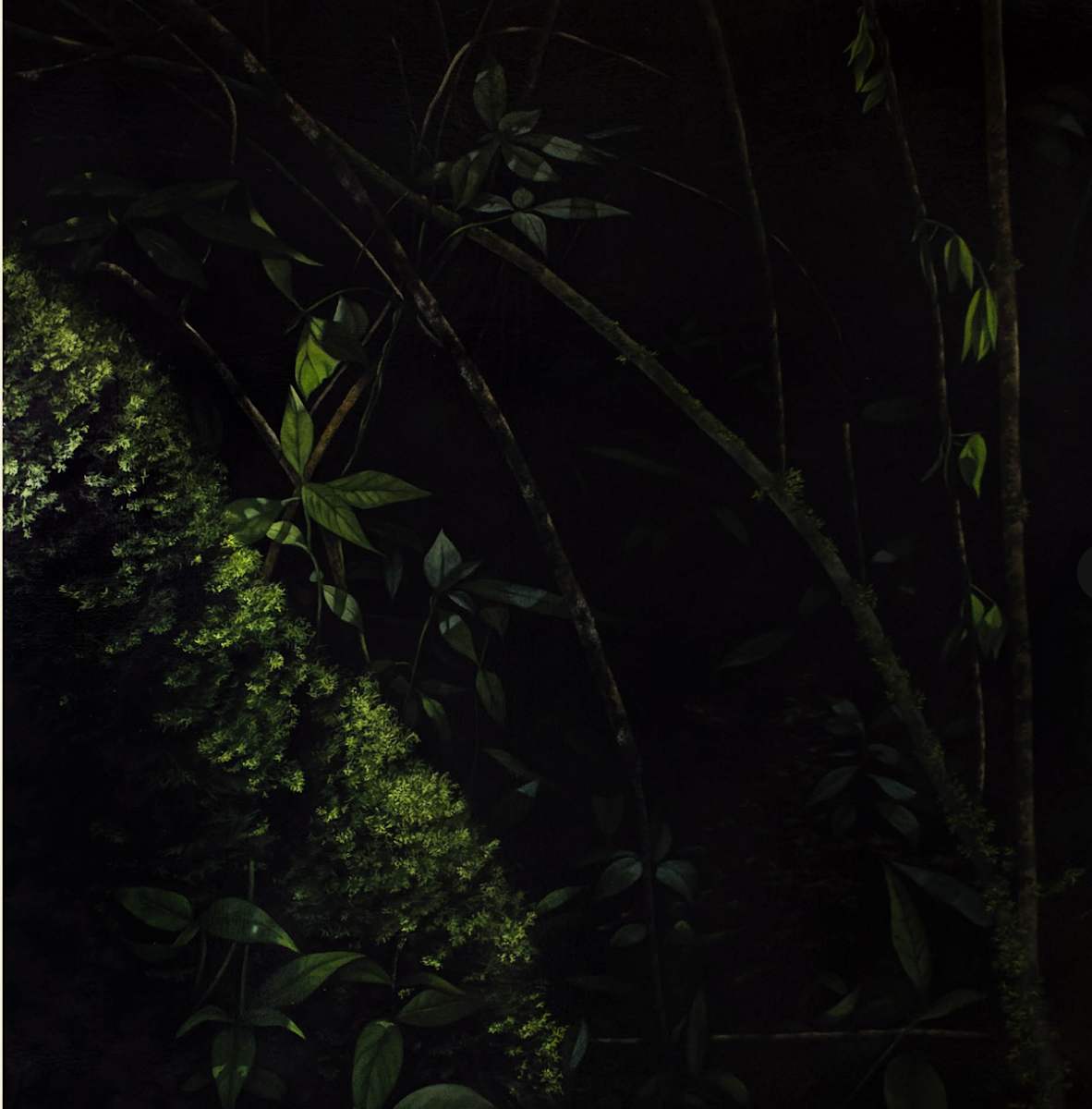 Matorral VI by Yuliana Miranda 