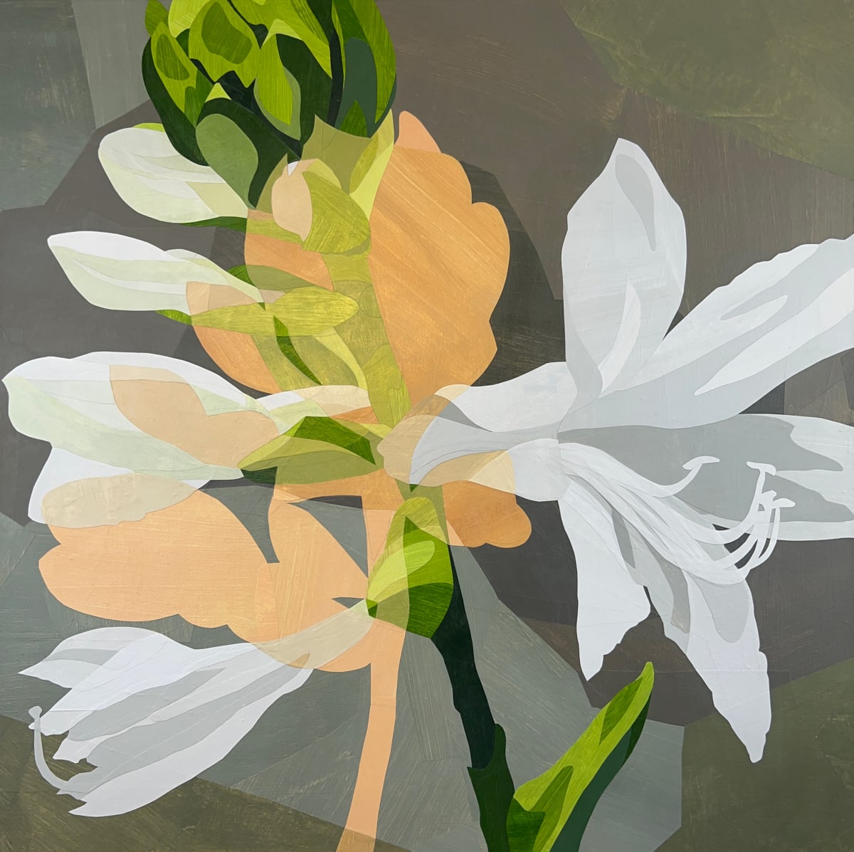 Friendship and Devotion by Jill Haas 
