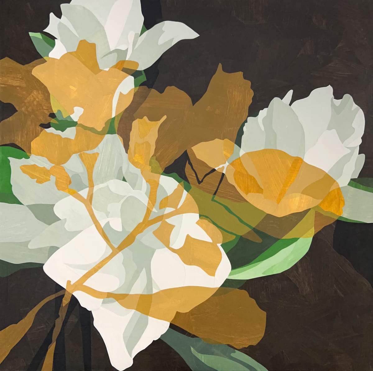 Where The Wind Blew by Jill Haas 