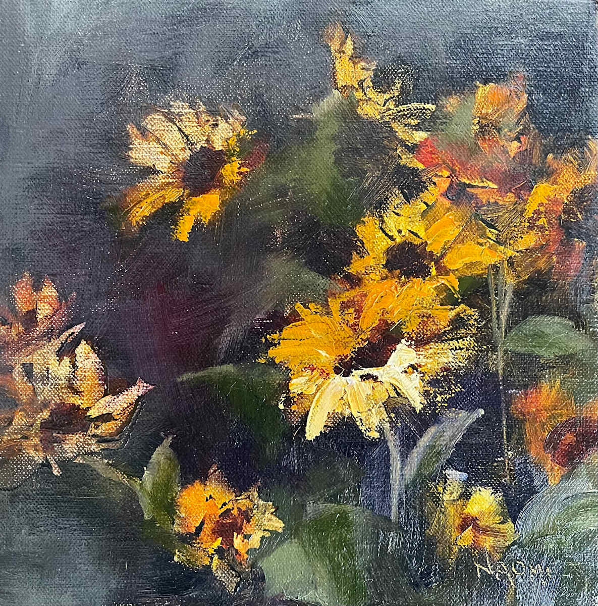 Mexican Sunflowers - study by Naomi Tiry Salgado  Image: iPhone image.