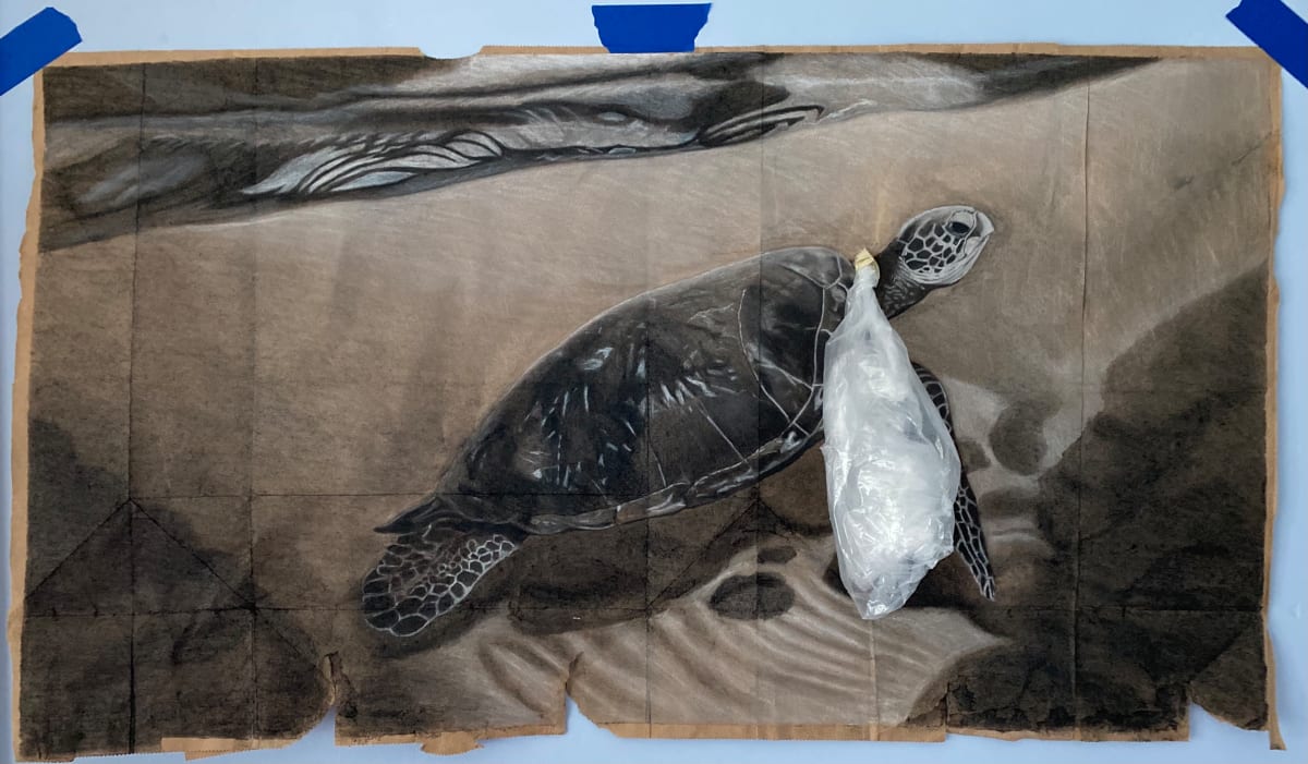 Paper bag or plastic bag by mohamed ali 