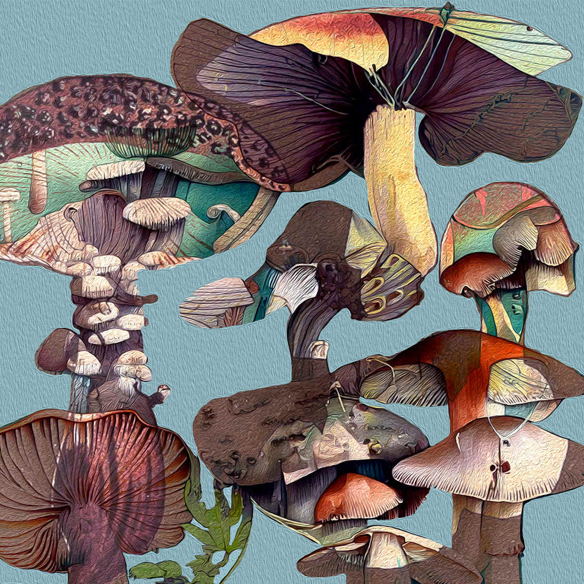 Perfectly Safe by Carol Bouyoucos 