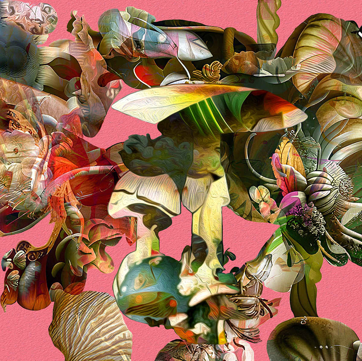 Pink Shrooms by Carol Bouyoucos 