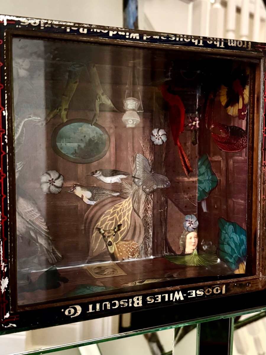 Cabinet of Curiosity 1 by Audrey Zinman 
