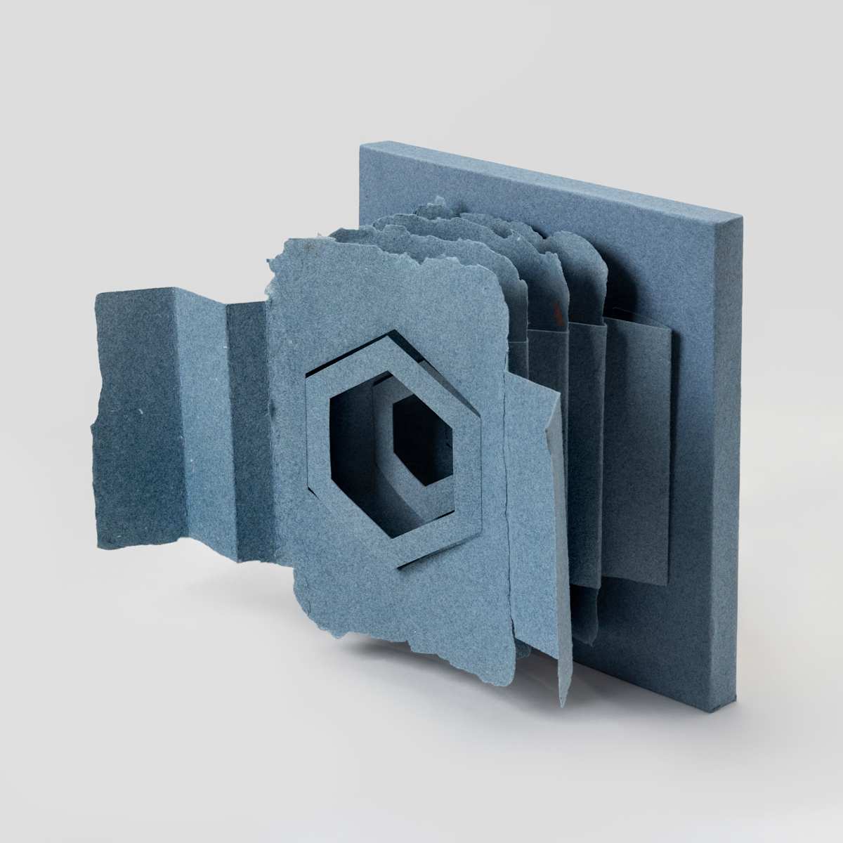 Alveolus by Amy Kupferberg 