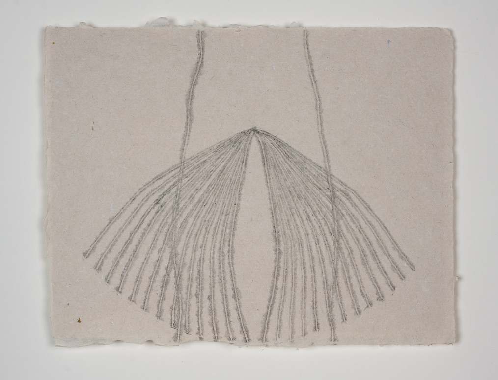 Him & Hers by Amy Kupferberg 