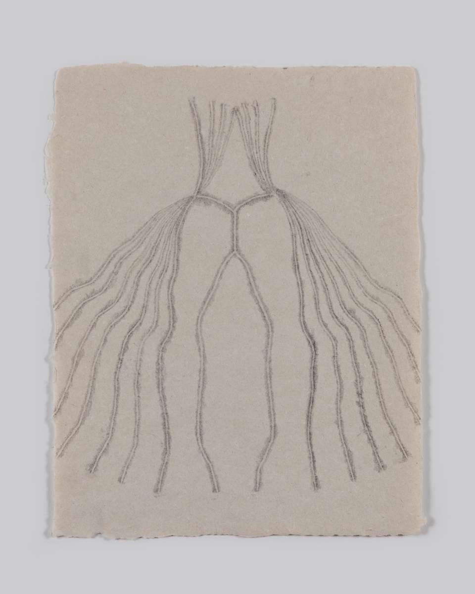 Lasie by Amy Kupferberg, Image 1.