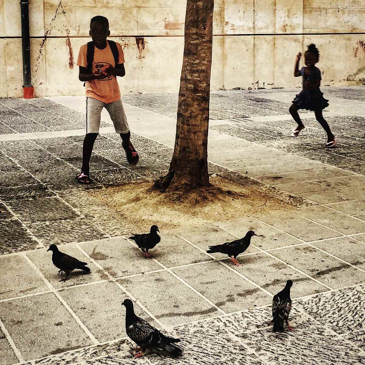 Pigeons Like Candy by Jennie Carr 