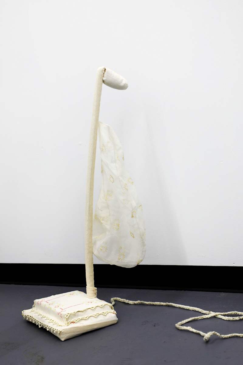 Vacuum Sweeper by Allison Green, Image 1.
