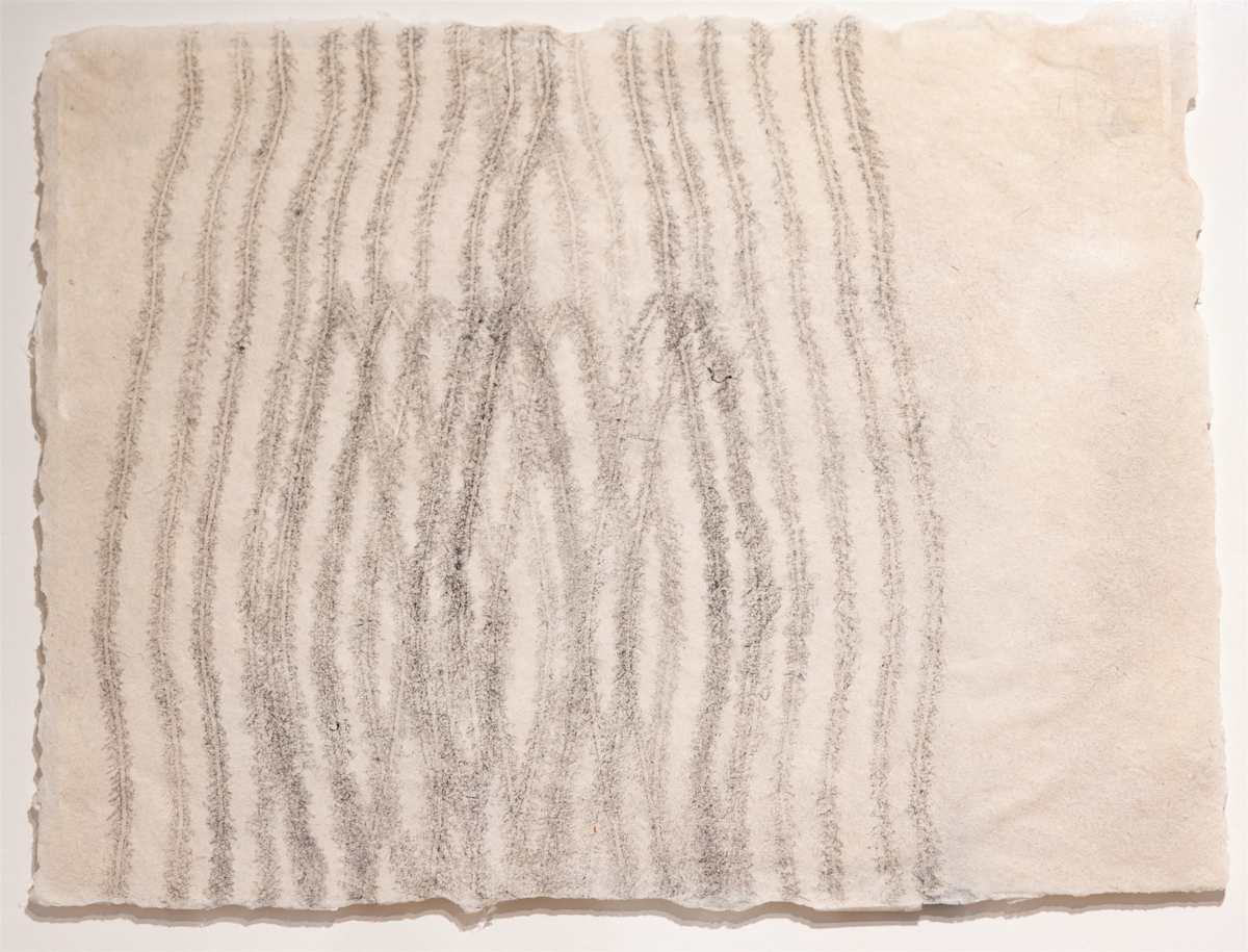 Double Vision by Amy Kupferberg, Image 4.