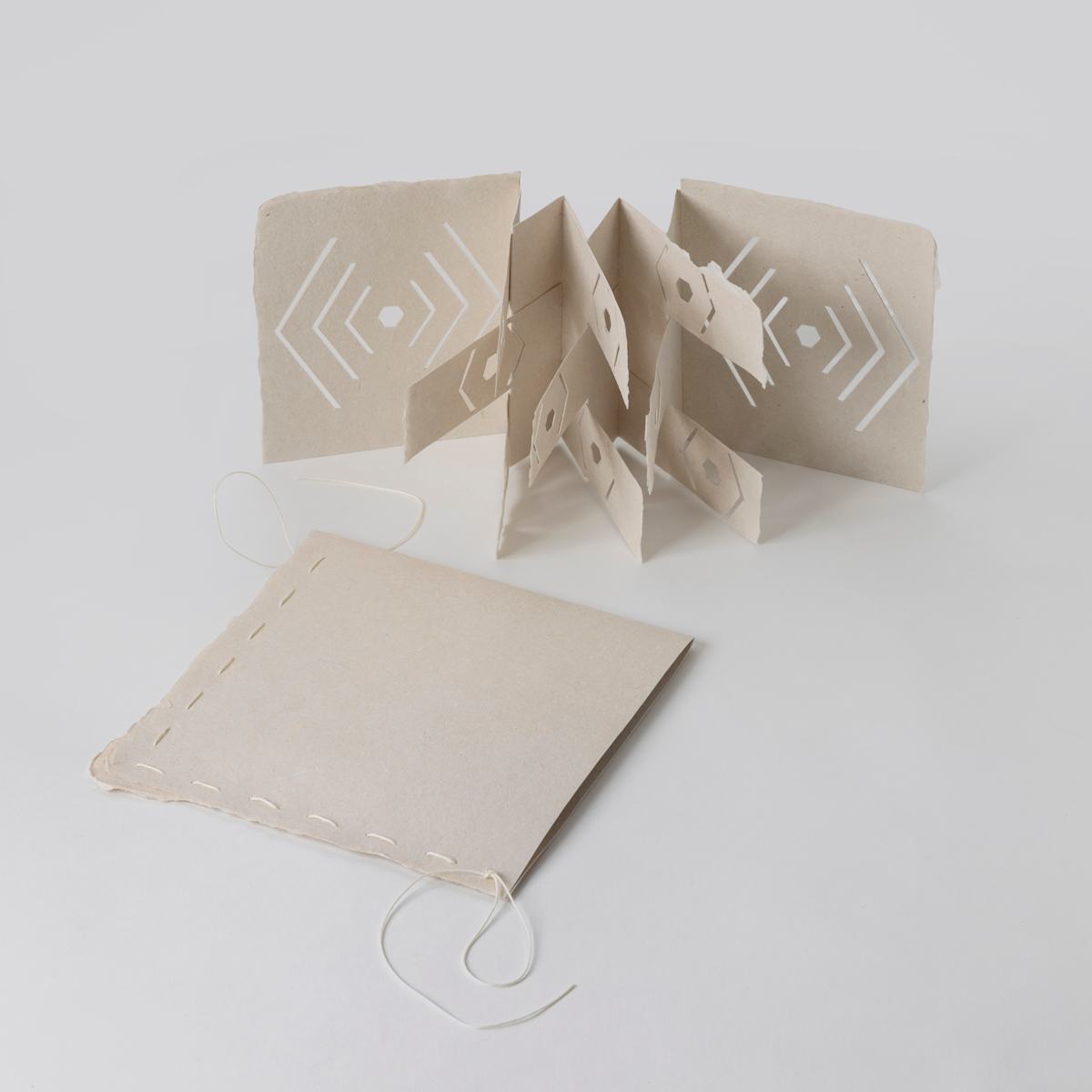 Flex Hex by Amy Kupferberg 