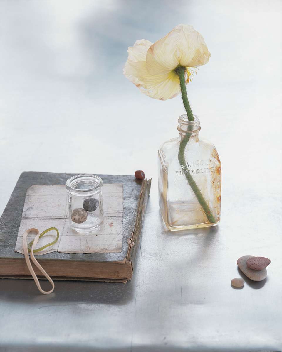 Poppy & Marbles by Rita Maas 
