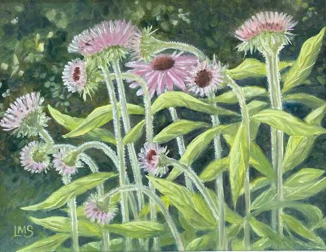 Early Summer Coneflowers by Lynn Slonaker 