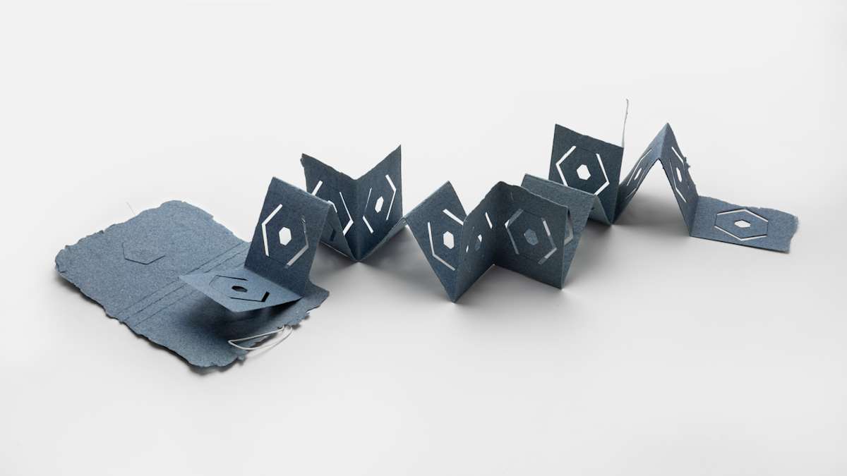 Snake Book by Amy Kupferberg 