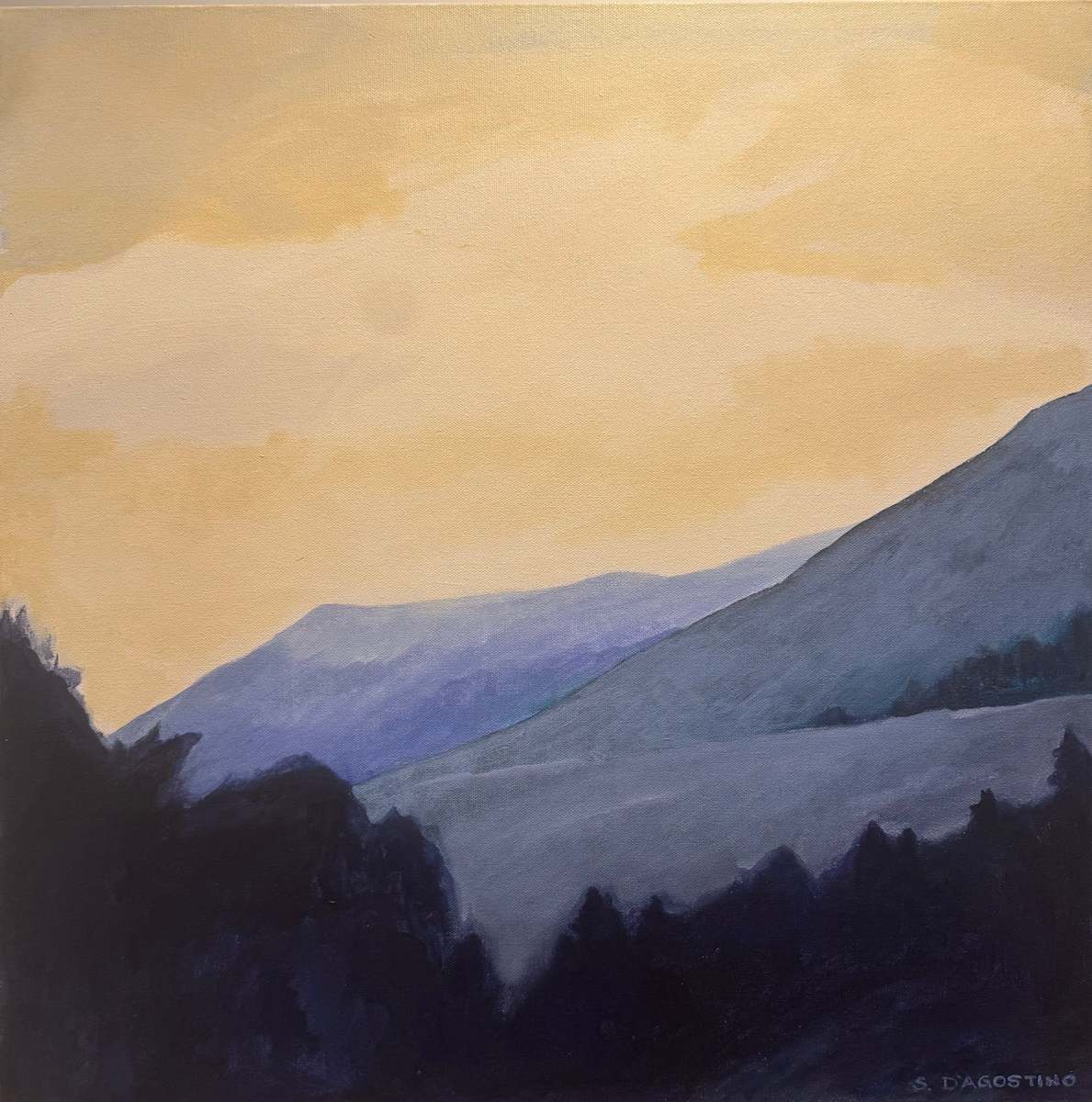 Late November by Sarah Moran D'Agostino 