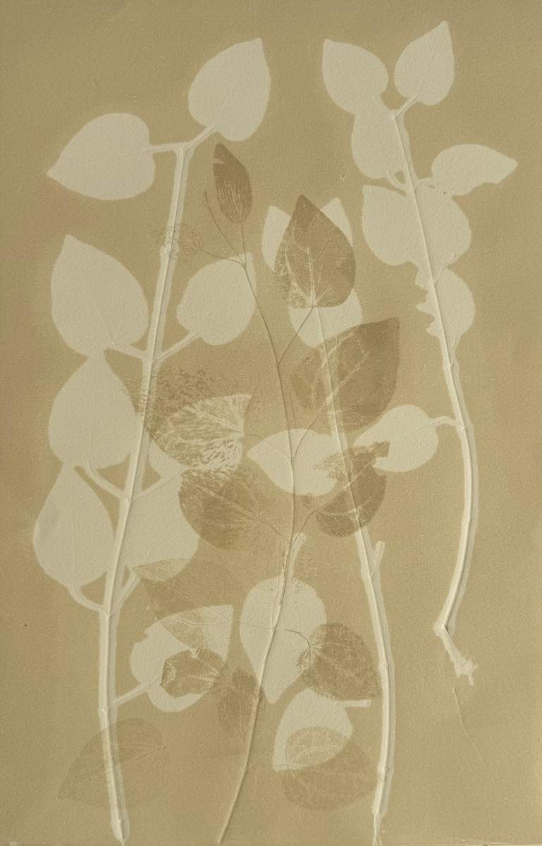 Katsura by Sally Frank 