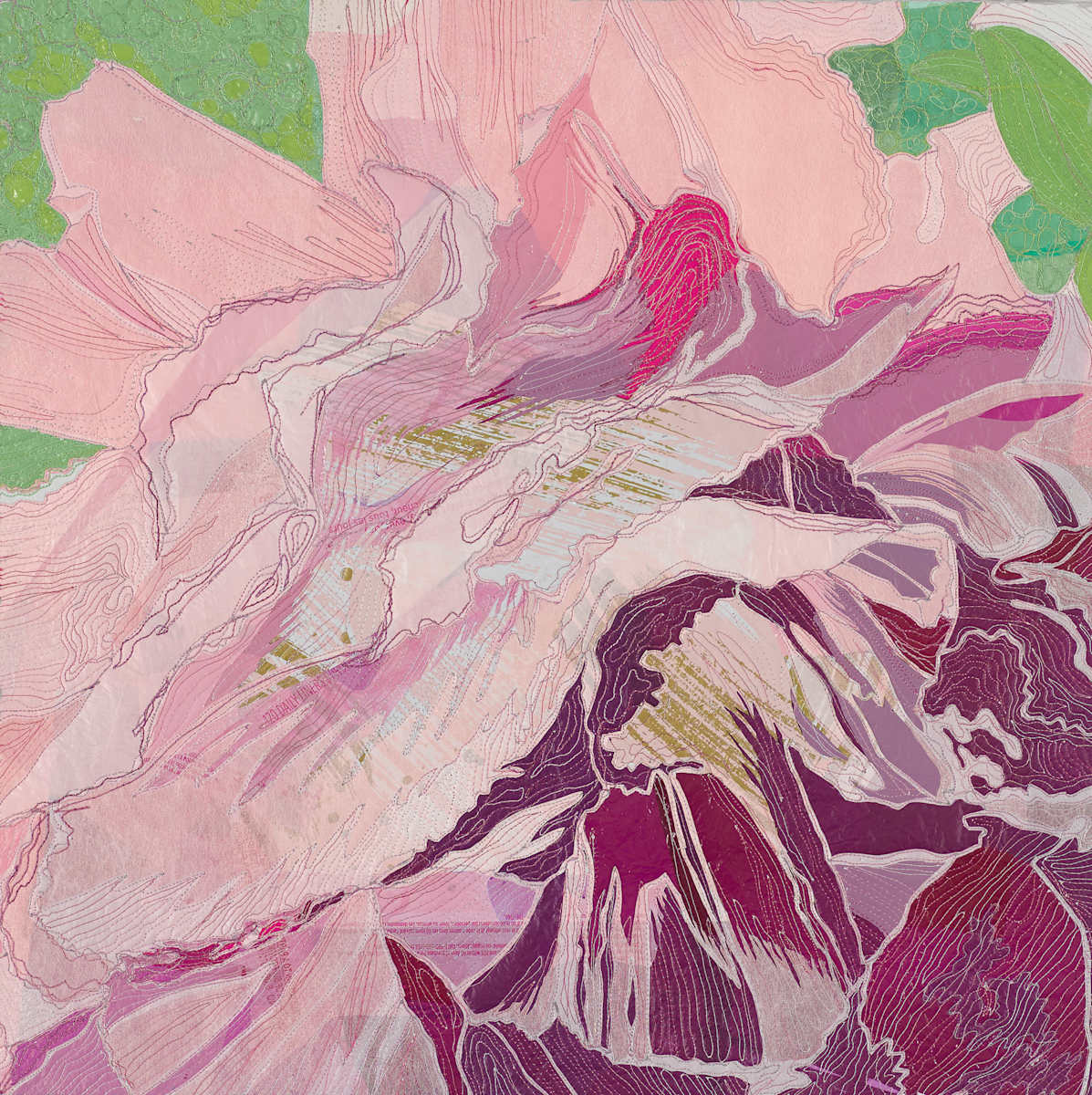 Paeonia 1 by Natalya Khorover 