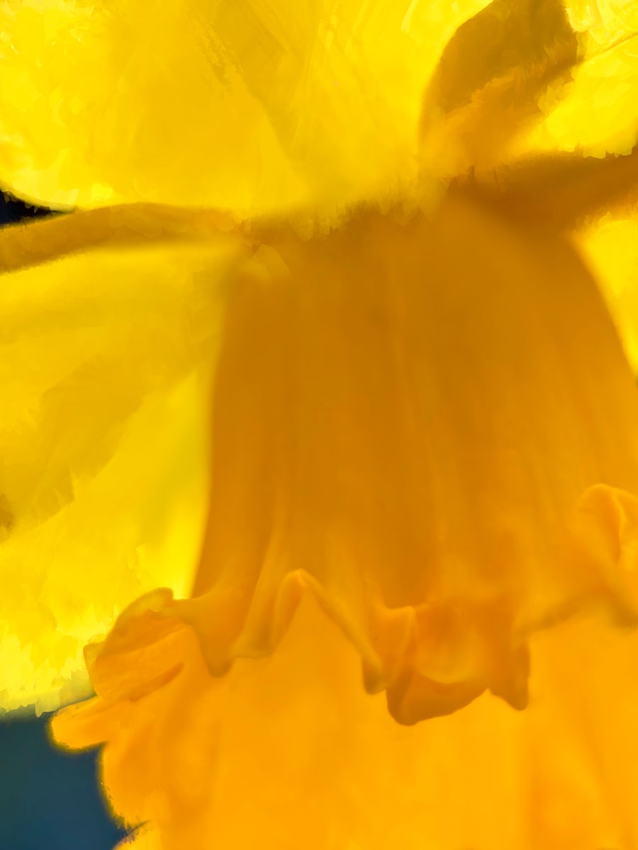 Sunshine by Marci Miles 
