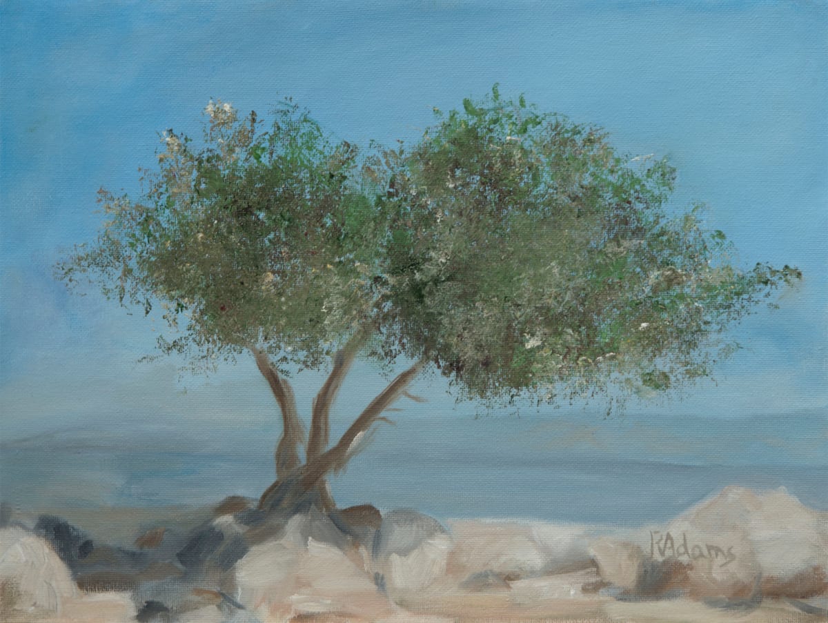 Carob Tree Mount Arbel by Rita Adams 