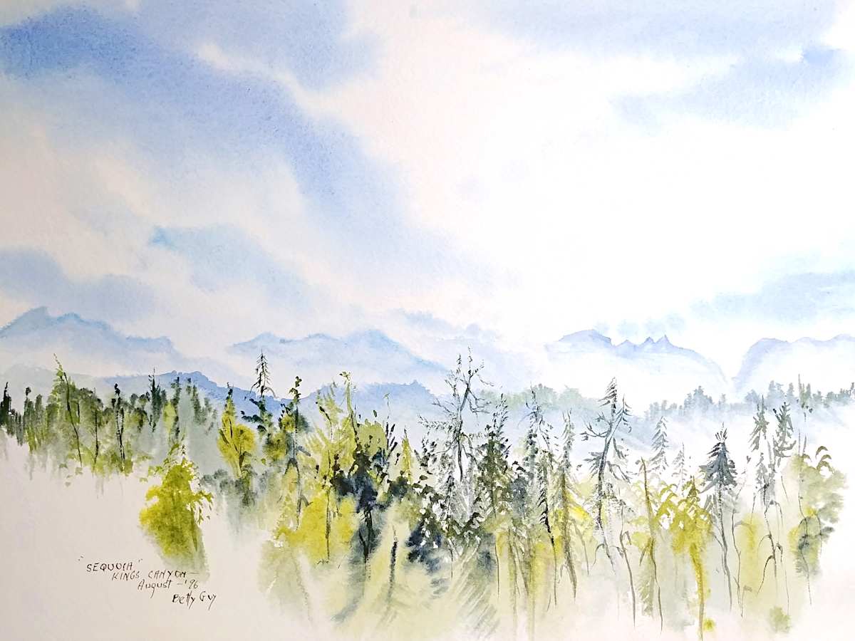 "Sequoia" Kings Canyon by Betty Guy 