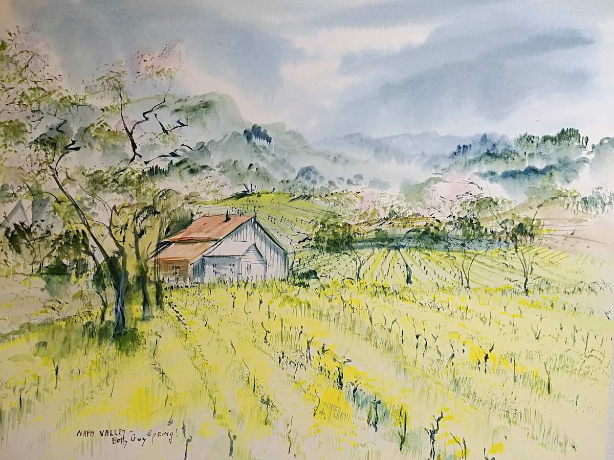 Napa Valley - Spring! by Betty Guy 