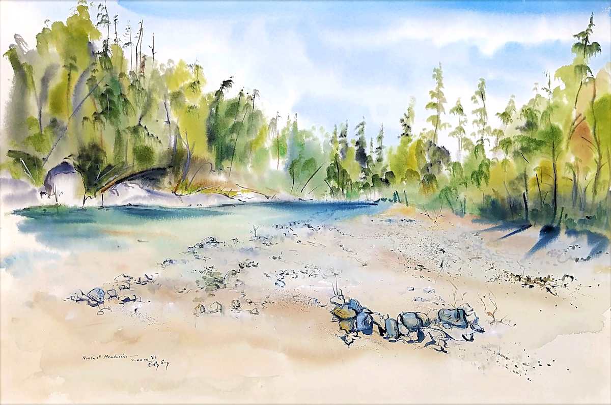North of Mendocino by Betty Guy 