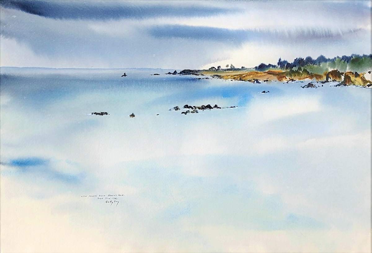 View North From Haven's Neck by Betty Guy 