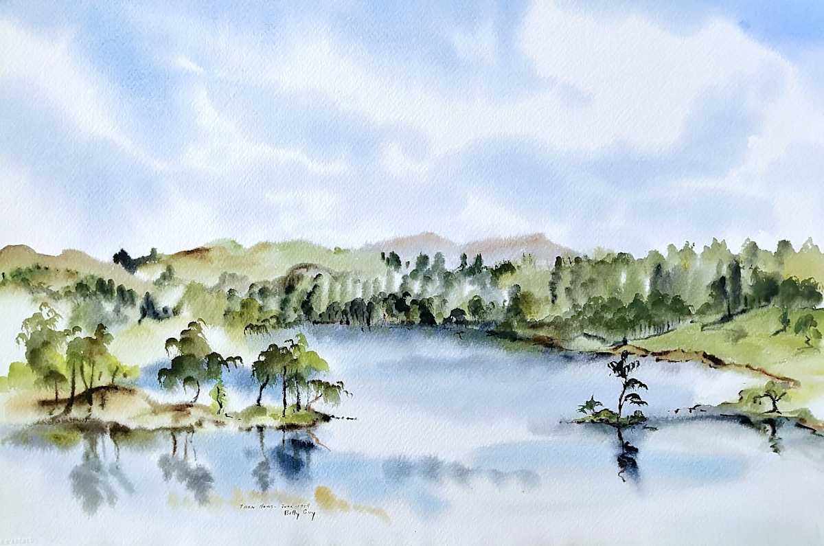 Tarn Hows by Betty Guy 