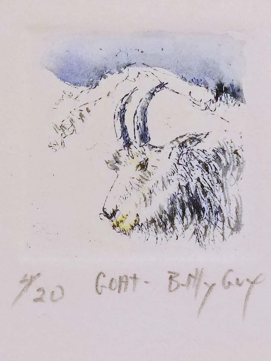 Goat by Betty Guy 