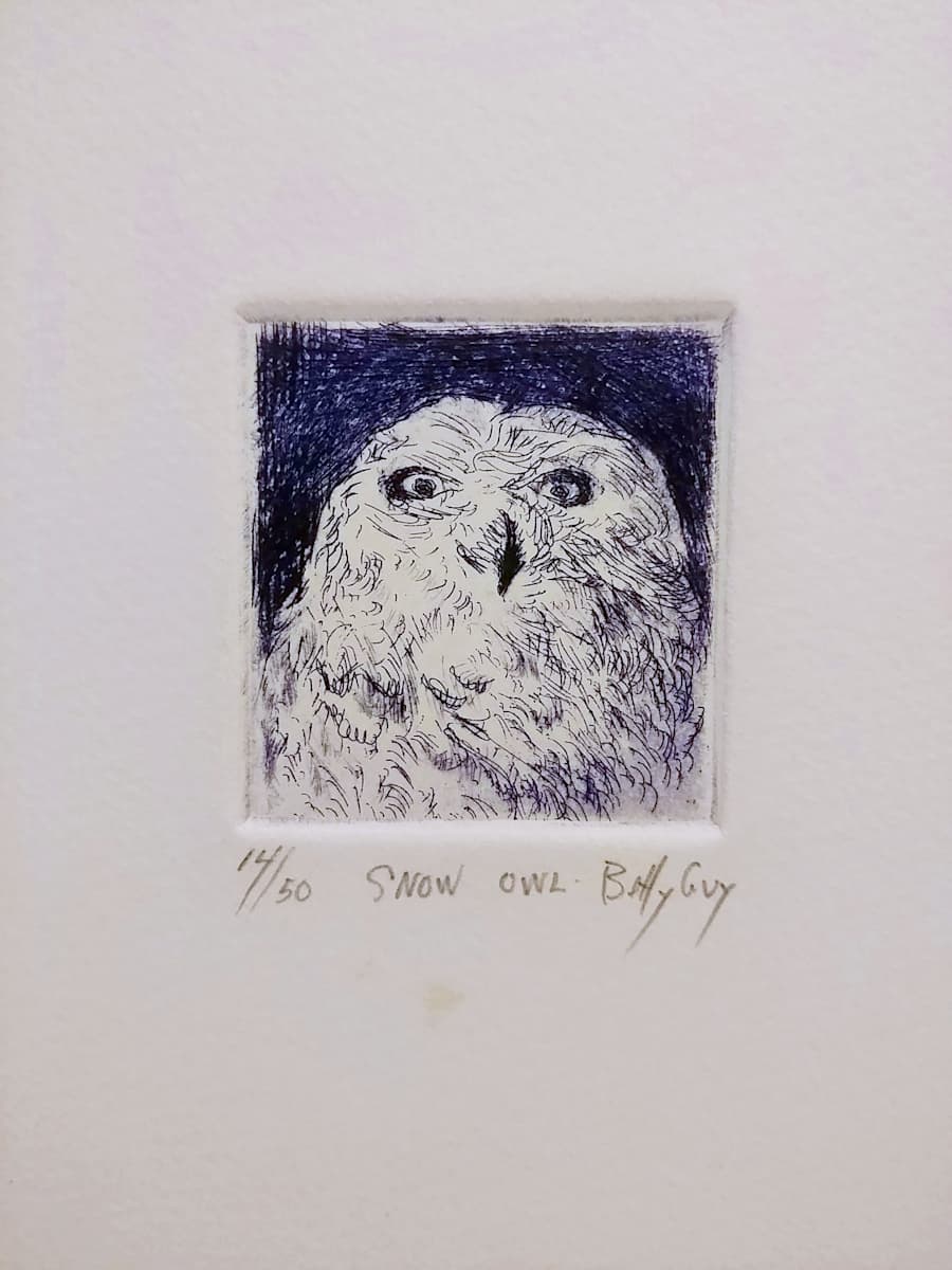 Snow Owl by Betty Guy 
