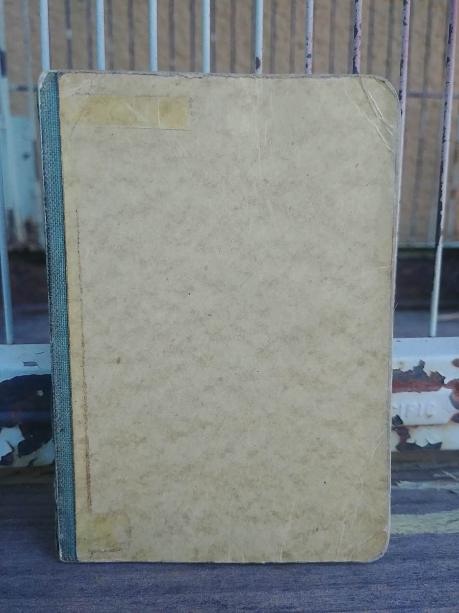 Journal 5 by Betty Guy 
