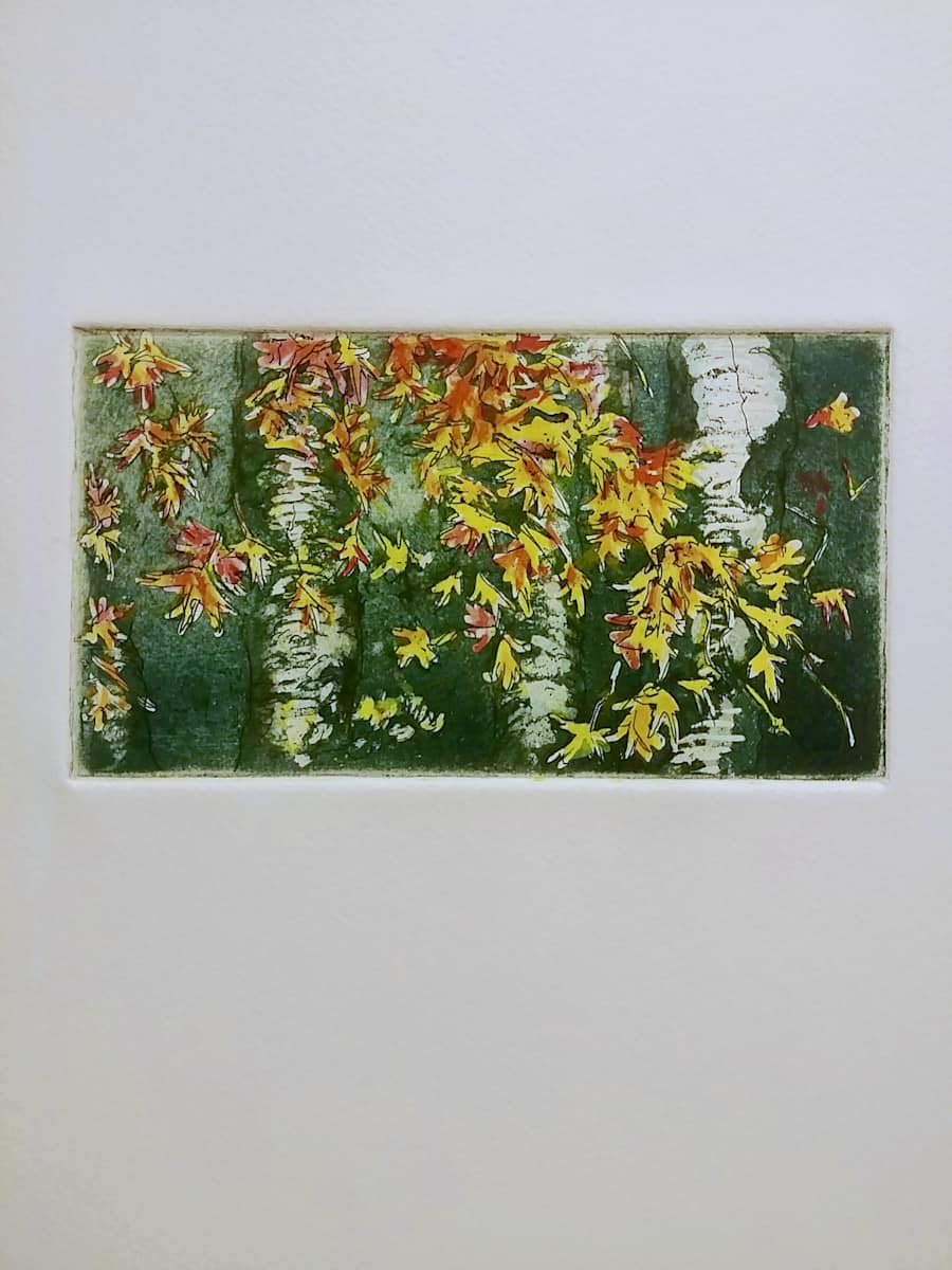 Untitled (from the series titled "Beech Tree + Maple Leaves") by Betty Guy 