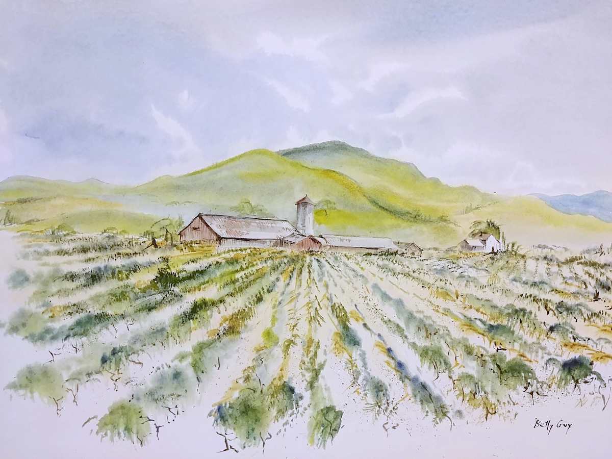 Untitled by Betty Guy 