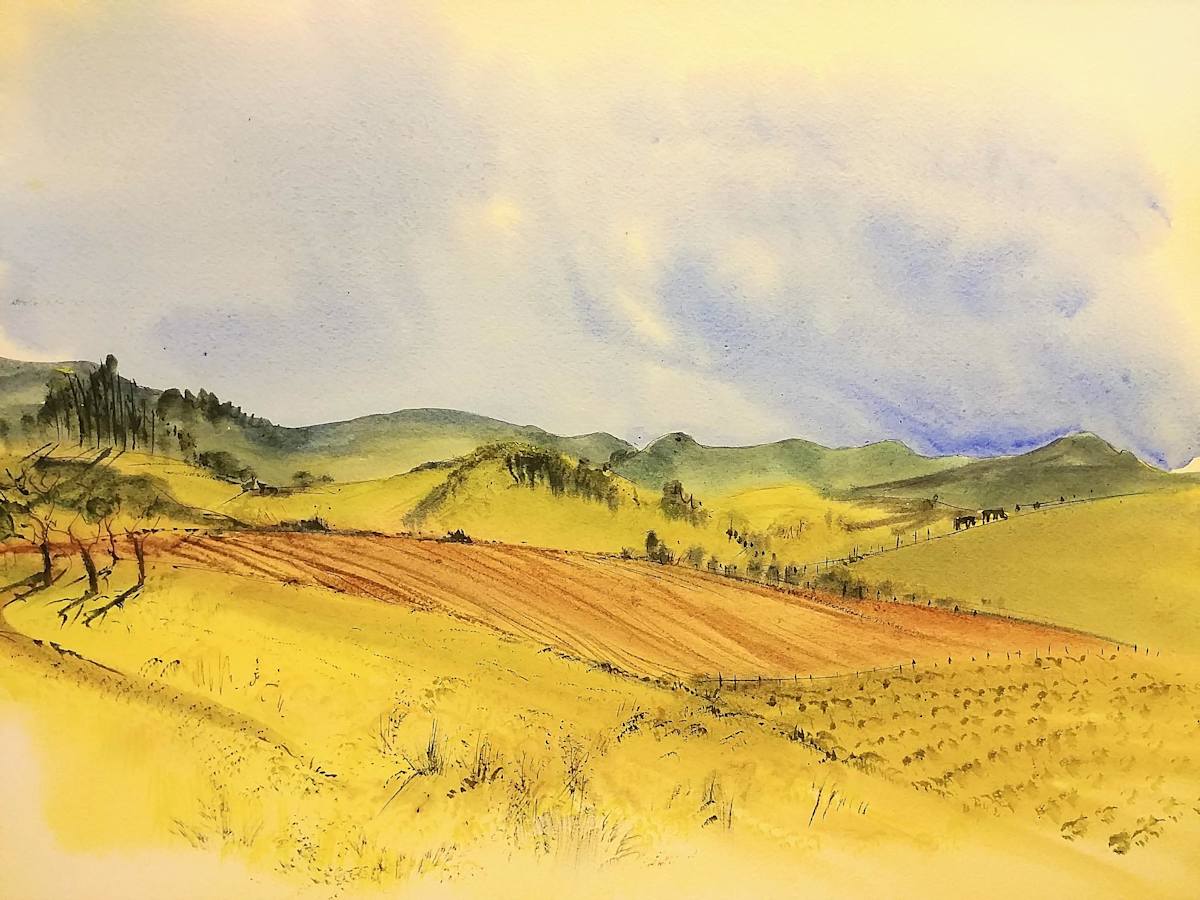 Untitled by Betty Guy 