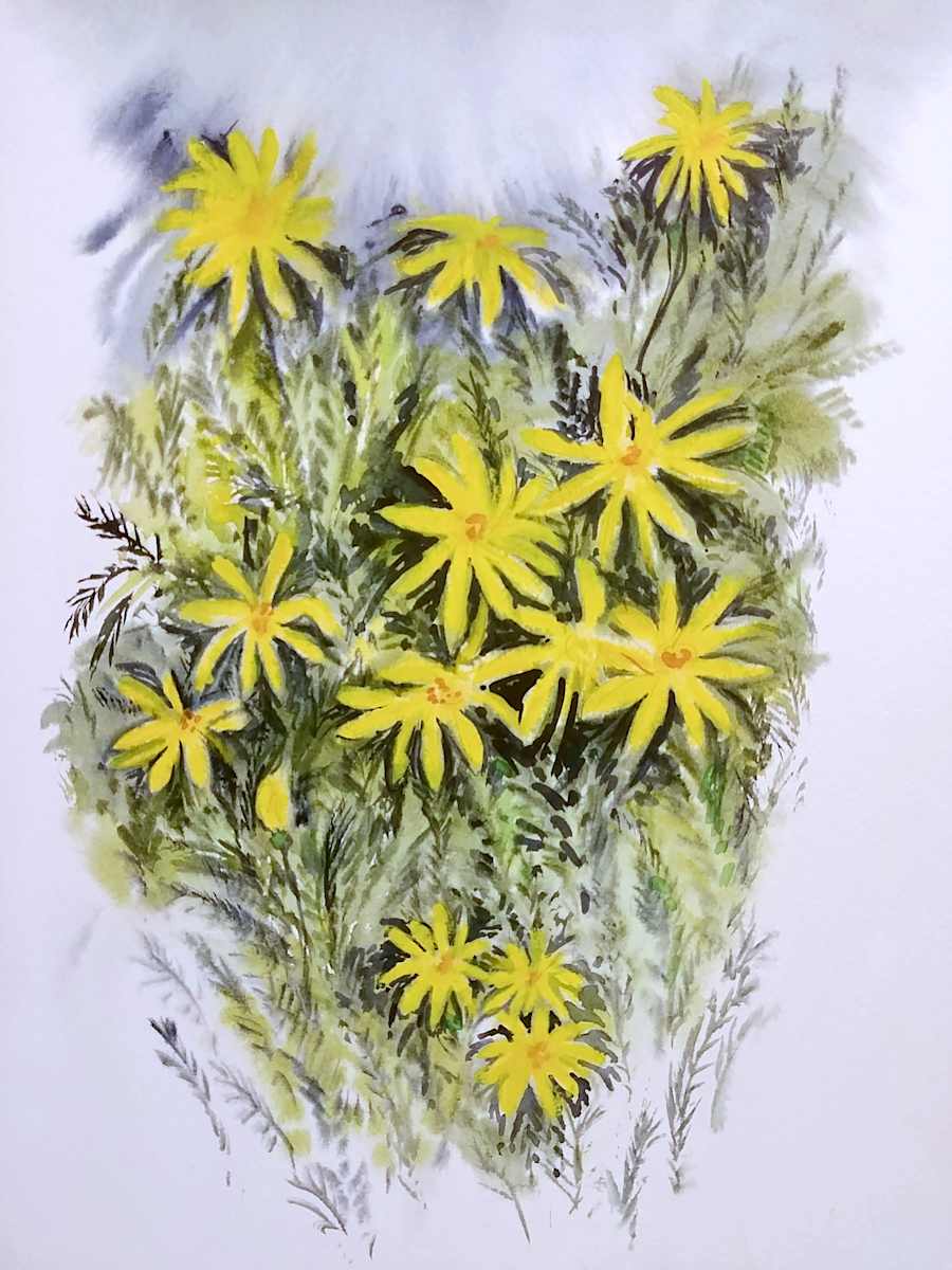 Untitled by Betty Guy 