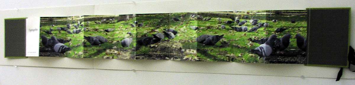 Pigeon Community by Wren Woodward Sarrow, Image 1.