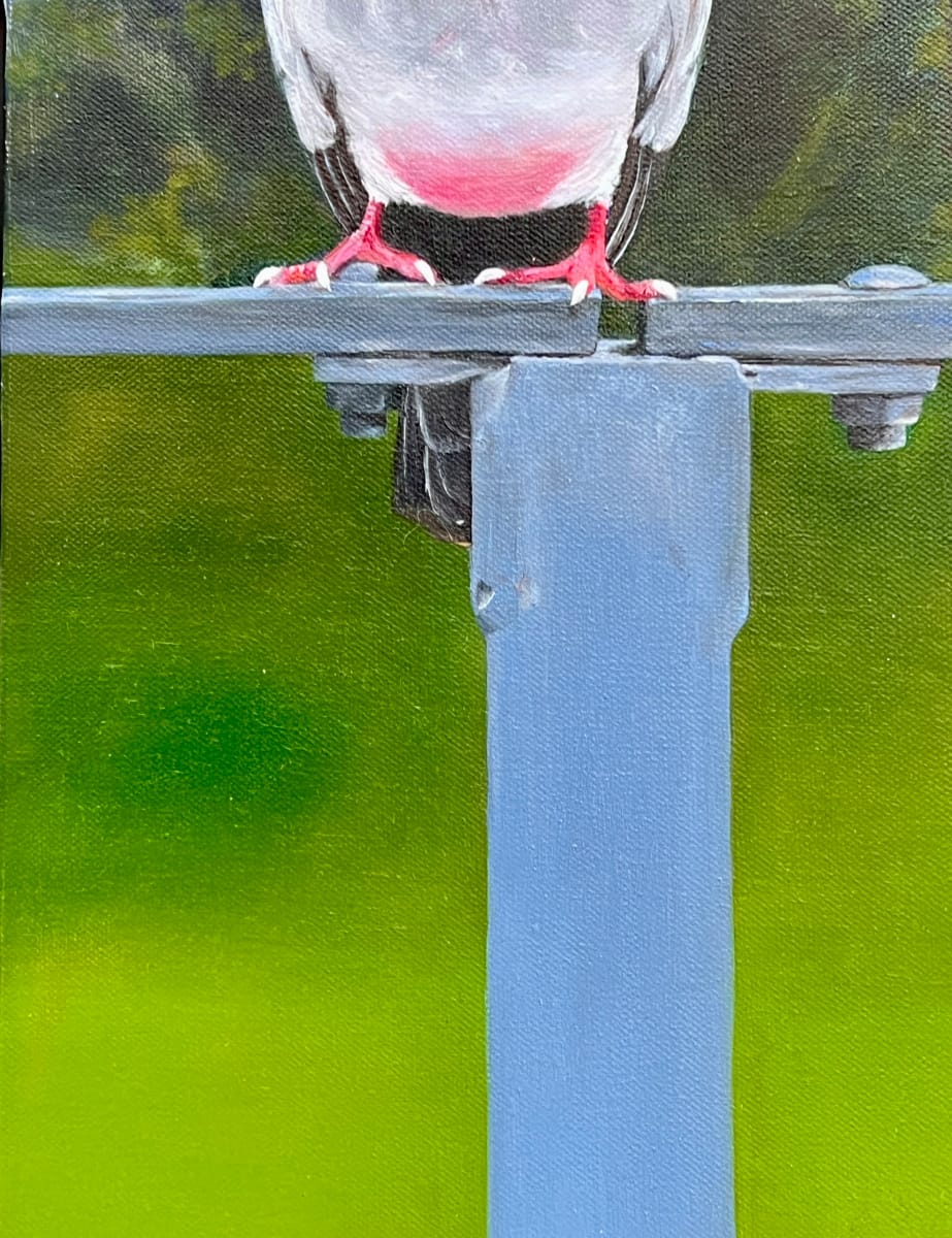 Chick: Envy? by Wren Woodward Sarrow 