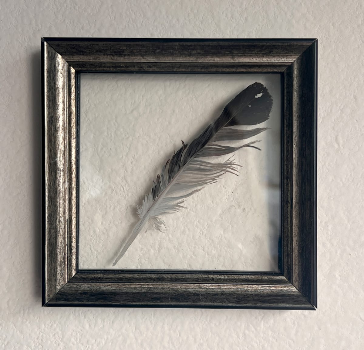 Untethered Feather, No. 1 by Wren Woodward Sarrow, Image 1.