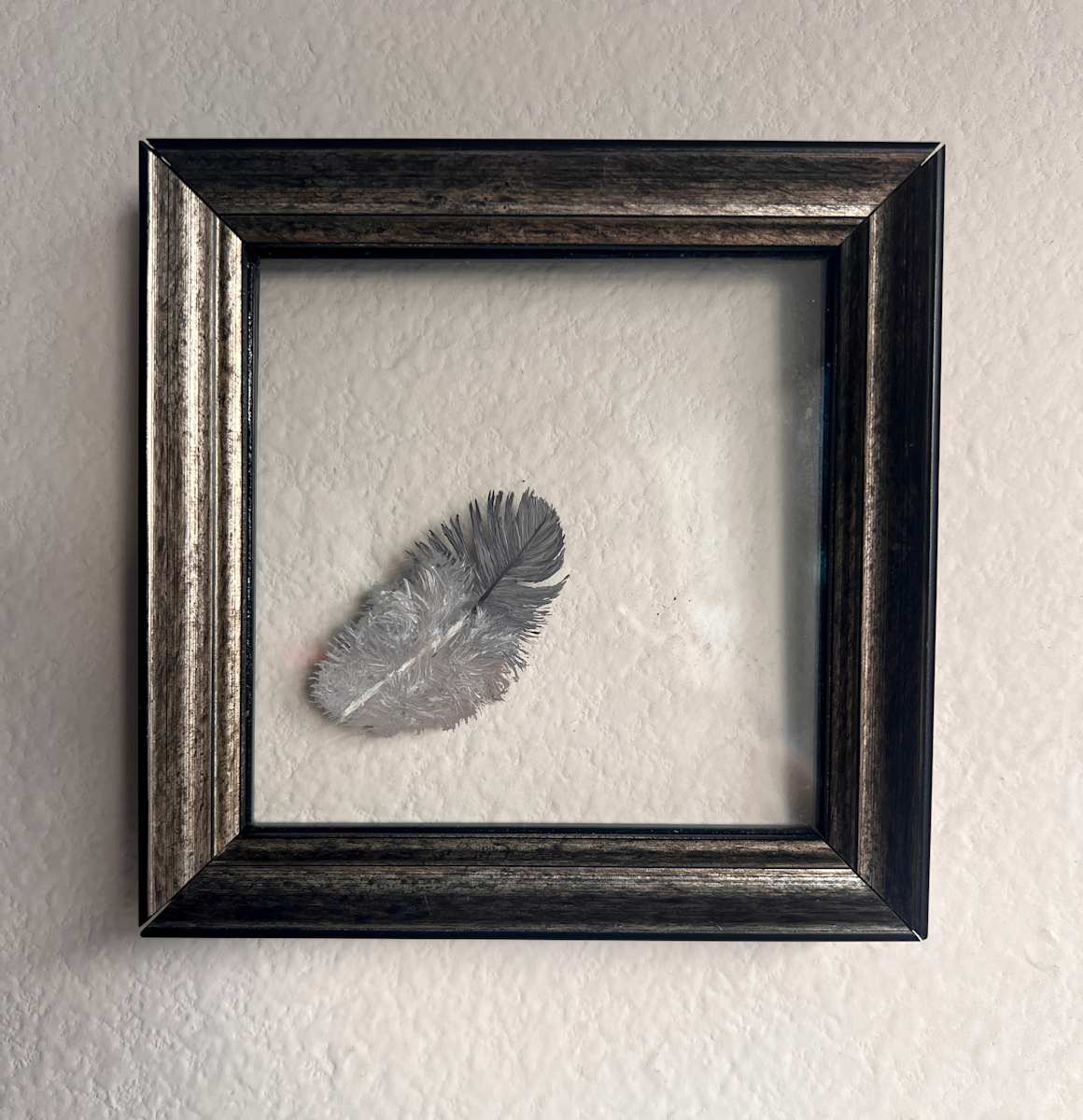 Untethered Feather, No. 2 by Wren Woodward Sarrow, Image 1.