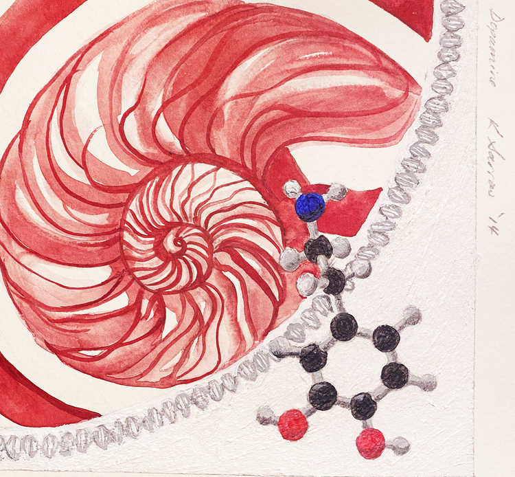 Hormone Circle: Dopamine by Wren Woodward Sarrow, Image 1.