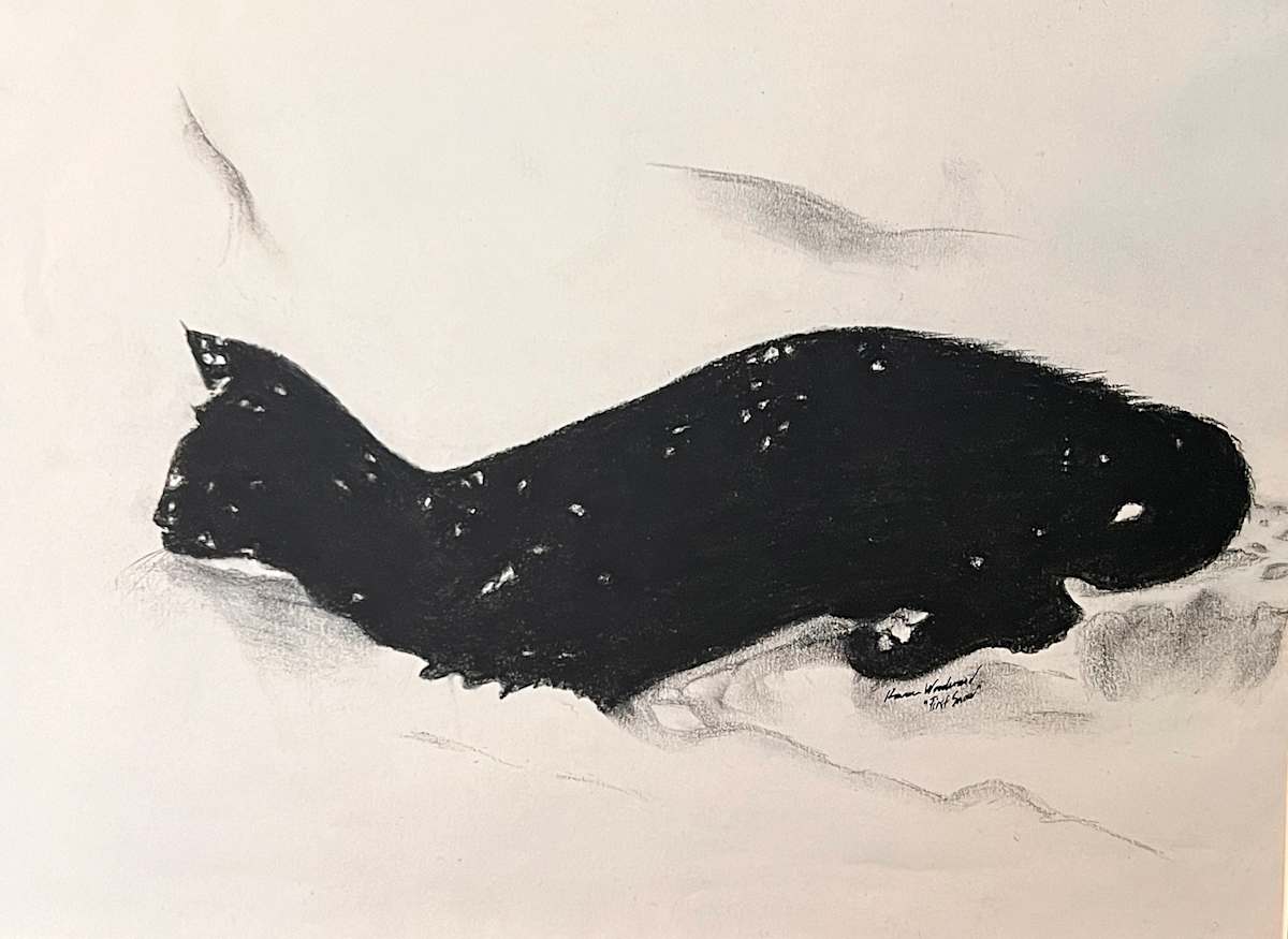 First Snow by Wren Woodward Sarrow 