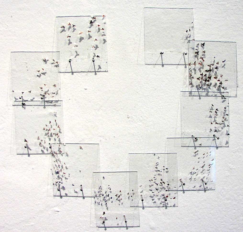 Aesthetic Birds by Wren Woodward Sarrow, Image 1.